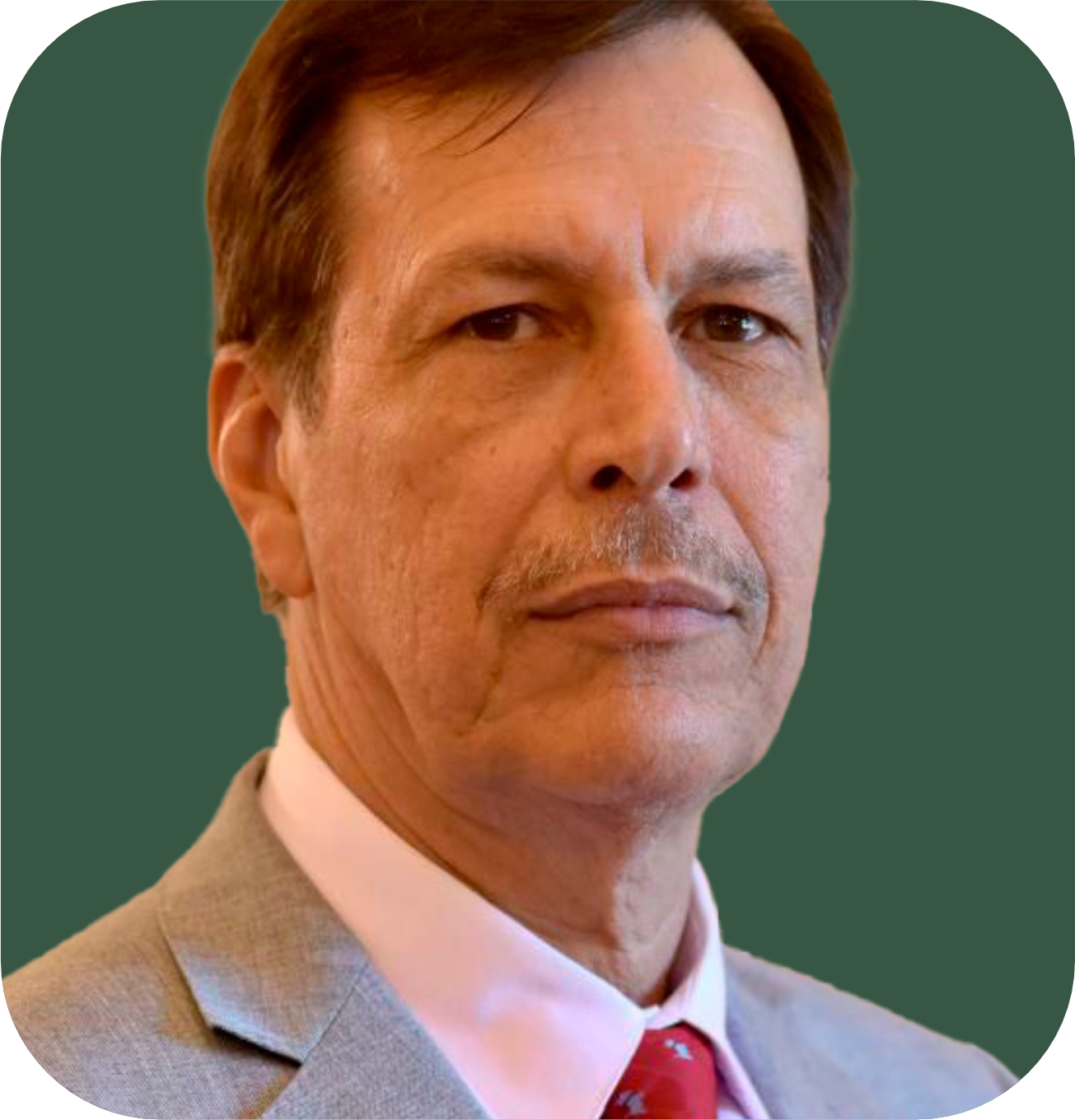 Des. Luiz Gustavo Mendonça de Araújo